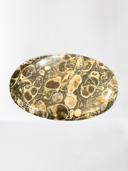 Jasper Leopardskin