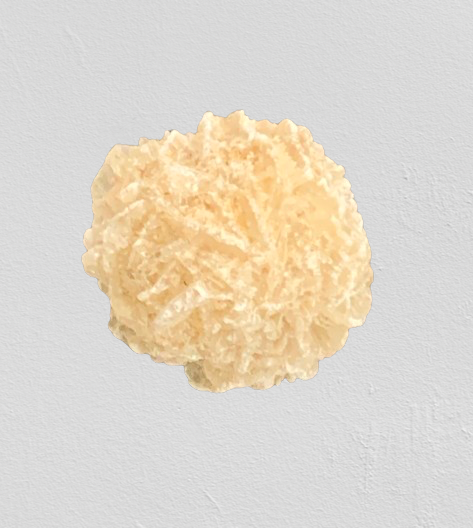 Desert Rose