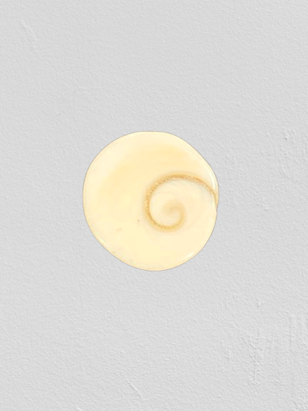 Gomti Chakra