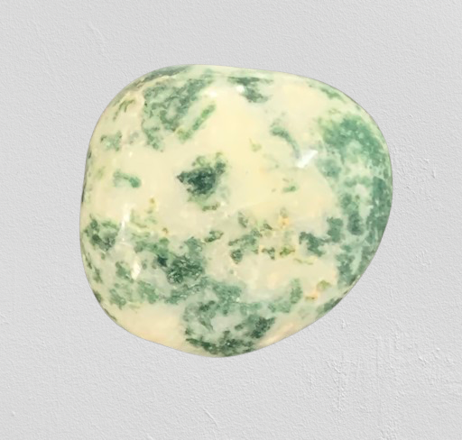 Dendritic Agate