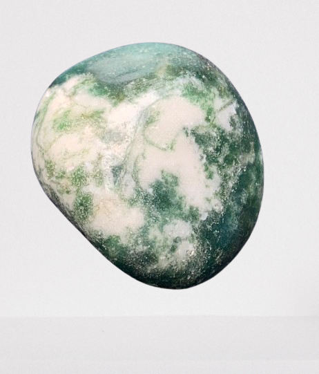 Tree Agate Tumble