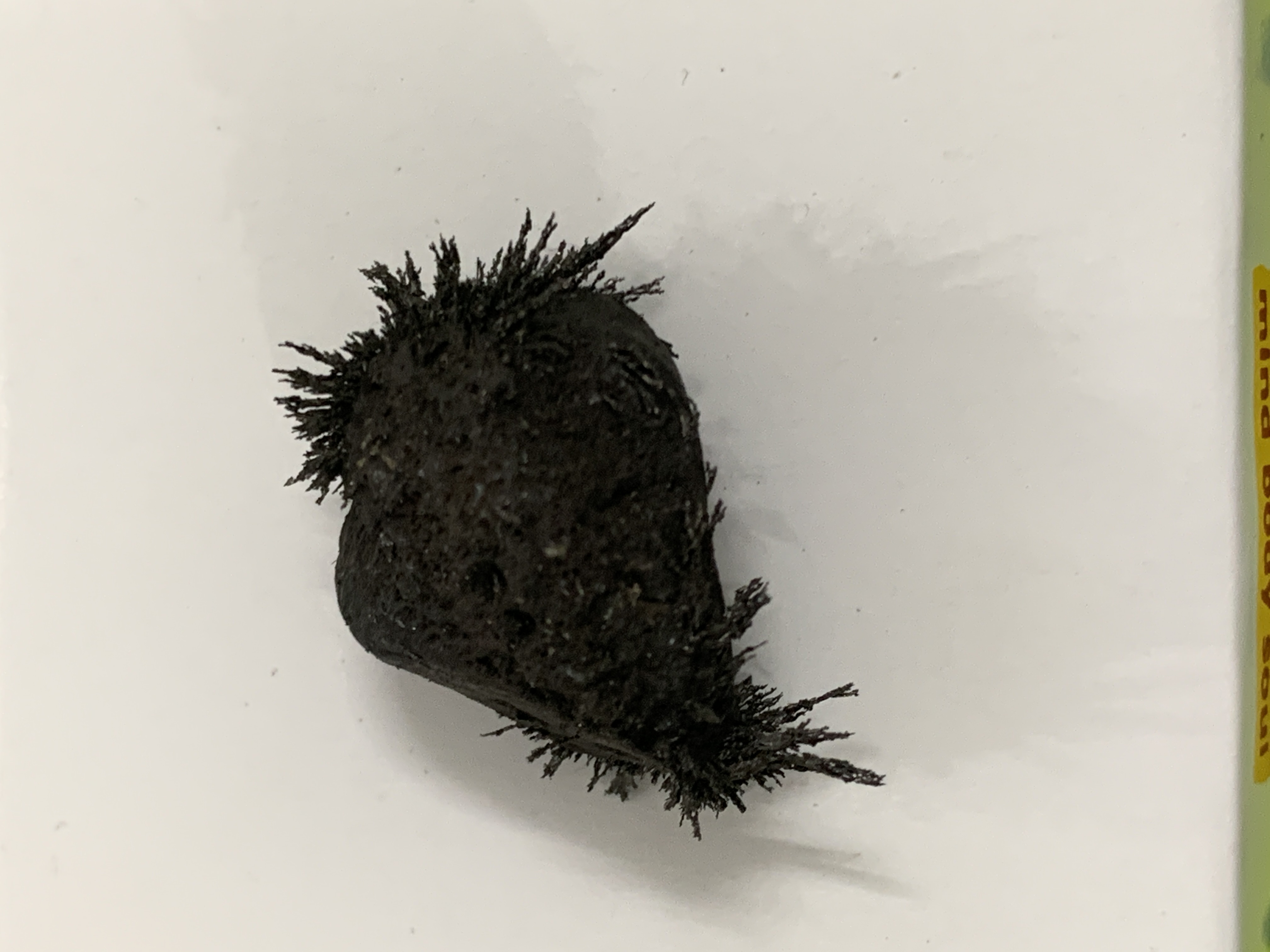 Magnetite Tumble