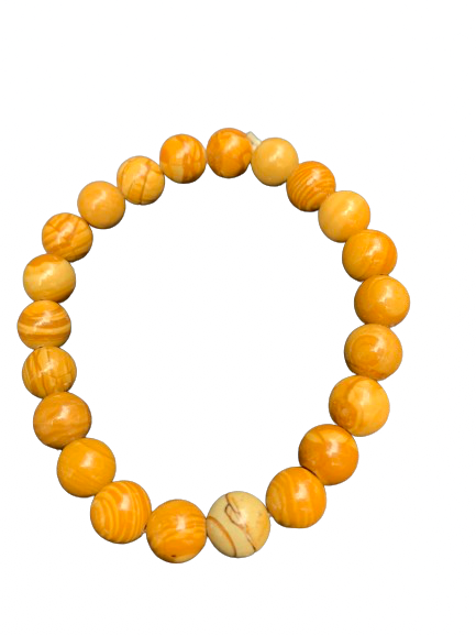 Petrified wood Bracelet