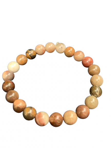Petrified wood Bracelet