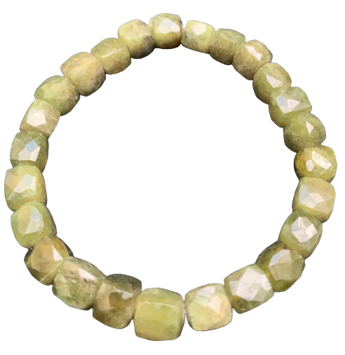 Vasonite Bracelet