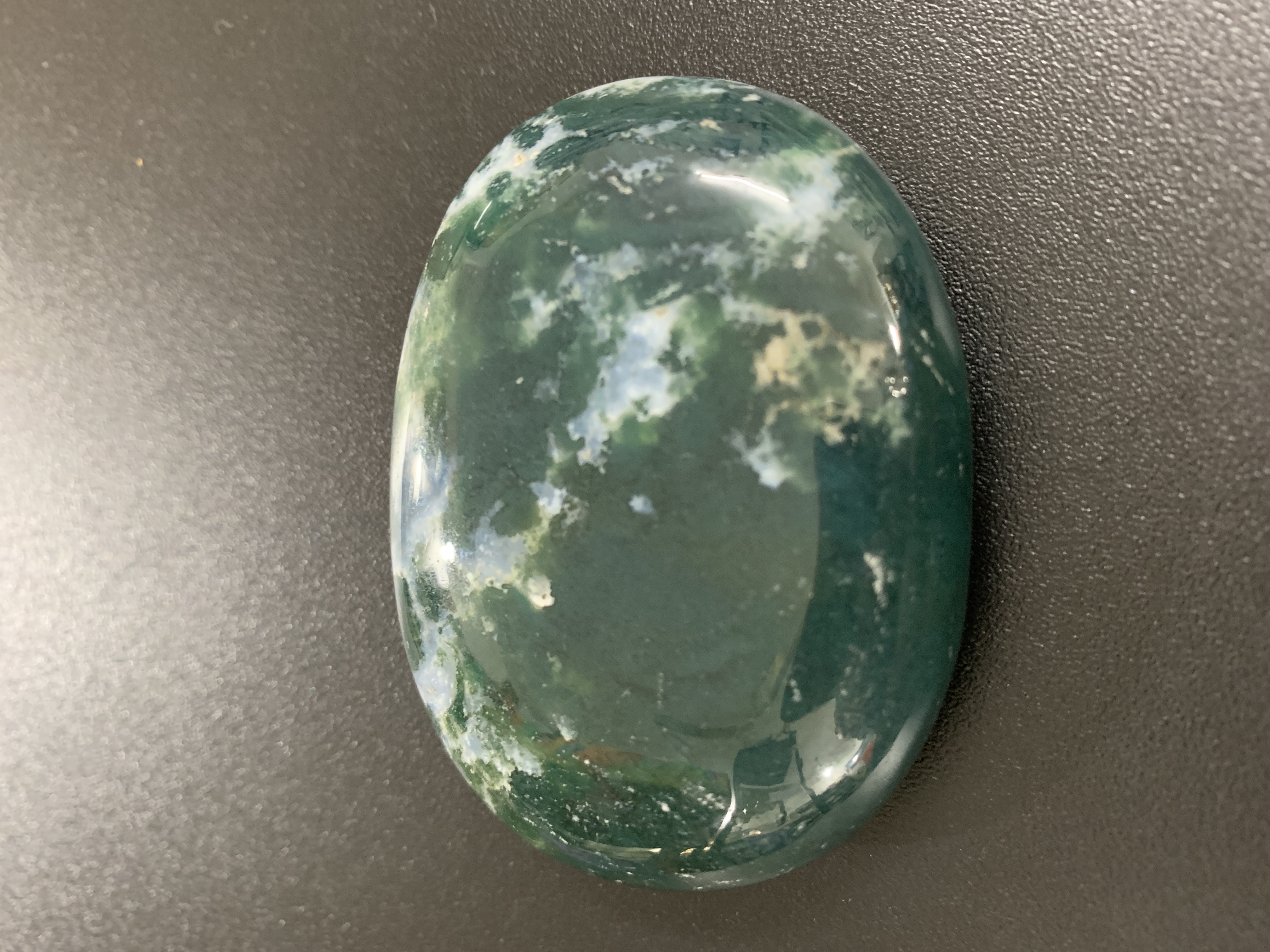 Tree Agate Palm Stone