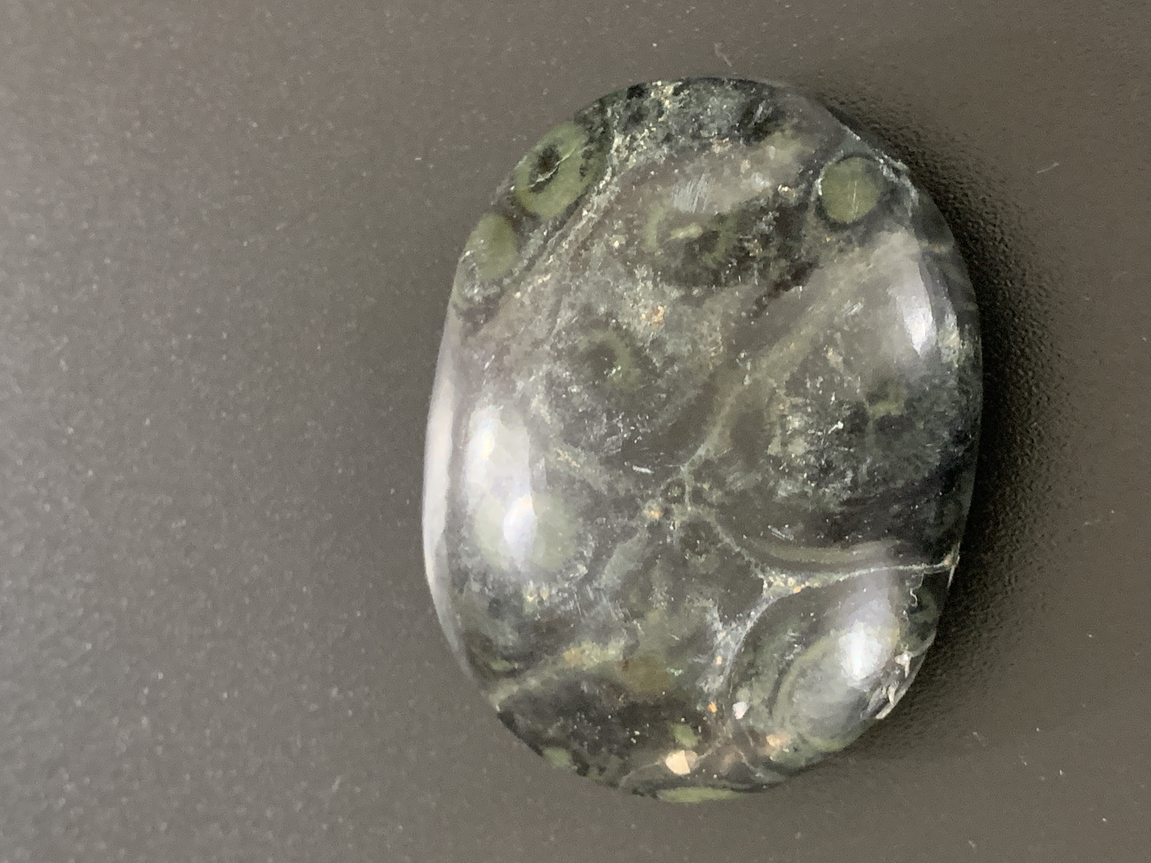 Kambaba Jasper Palm Stone