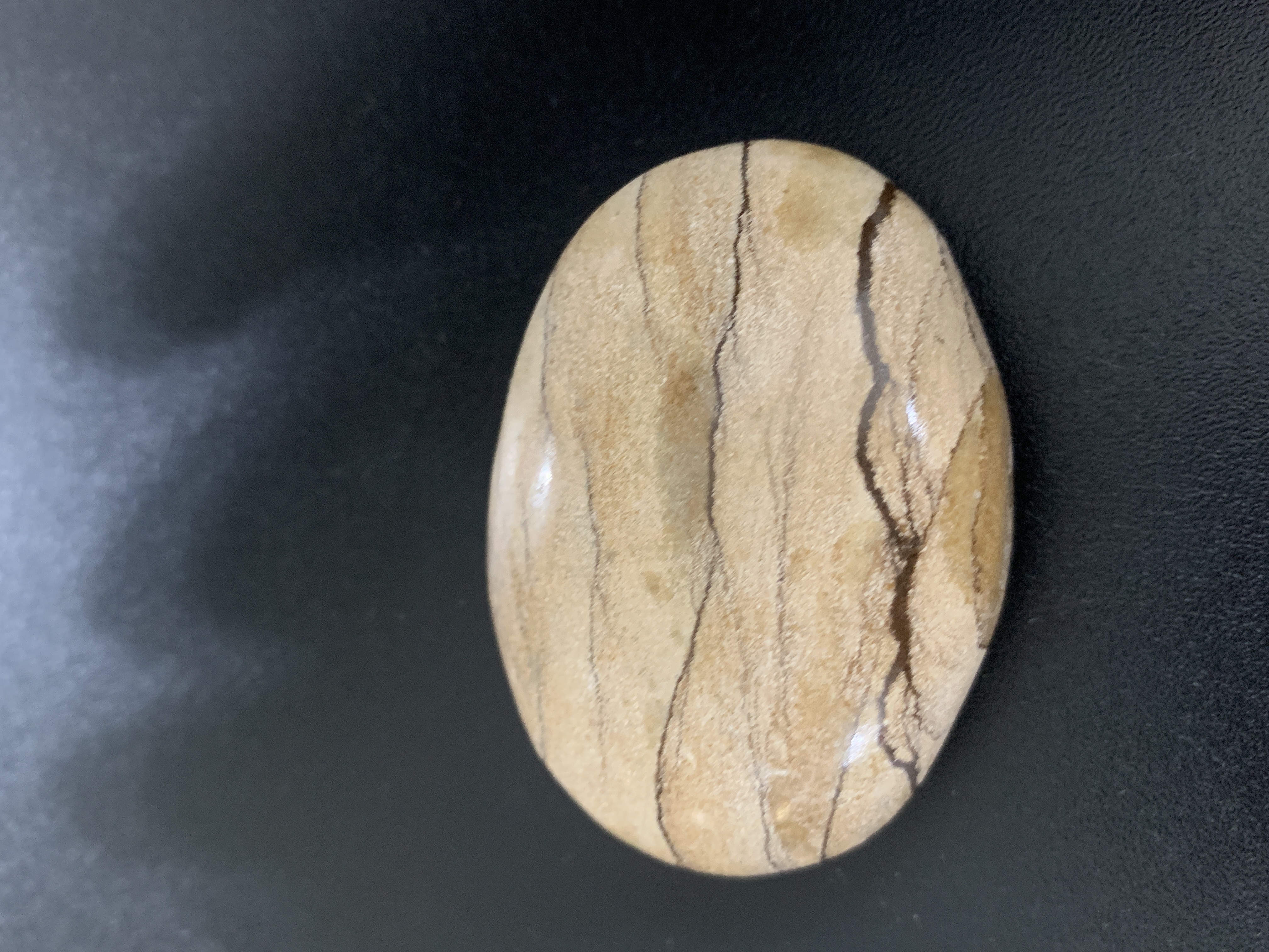 Picture Jasper Palm Stone