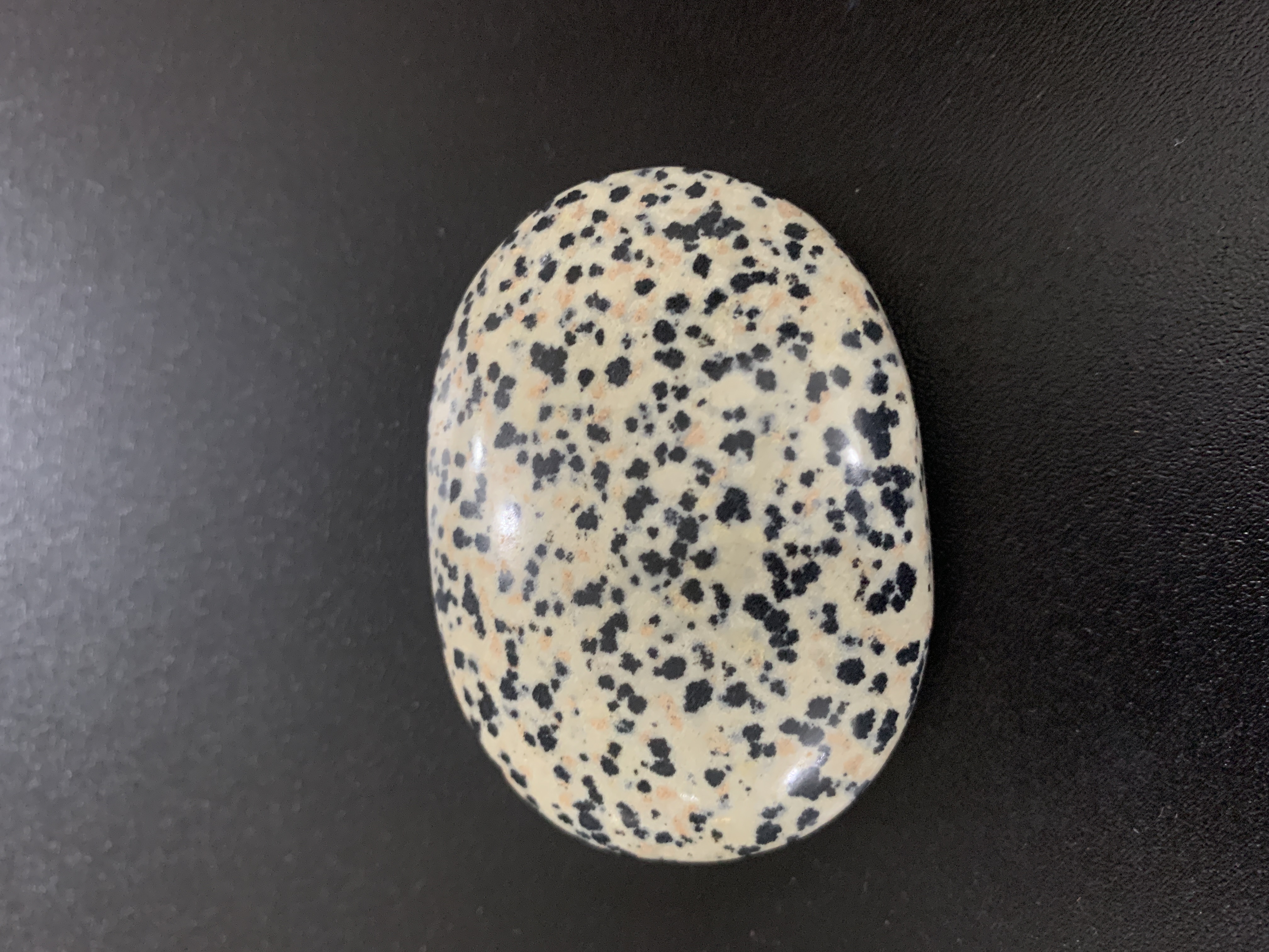 Dalmatian Jasper Palm Stone