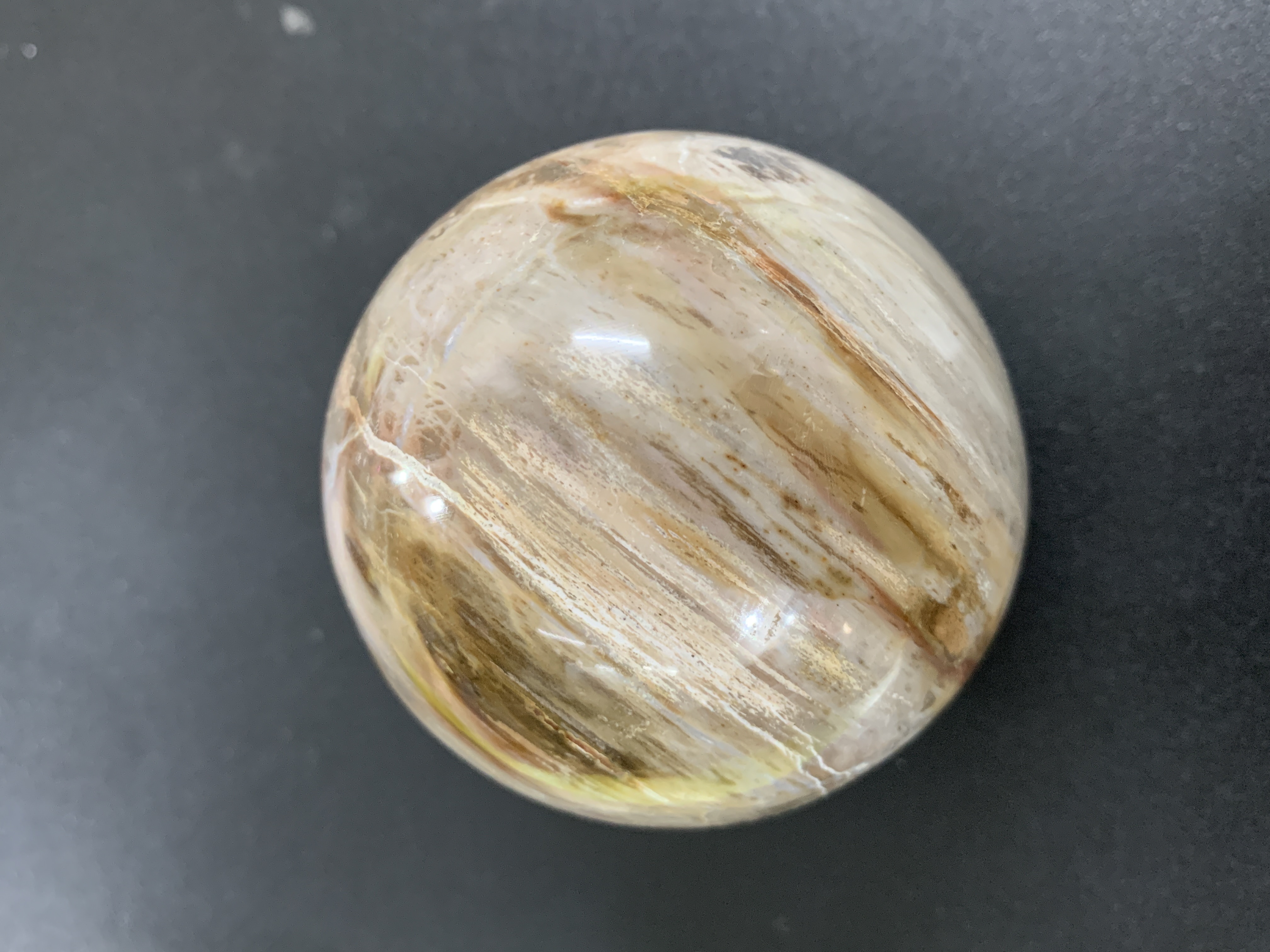 Petrified wood Sphere