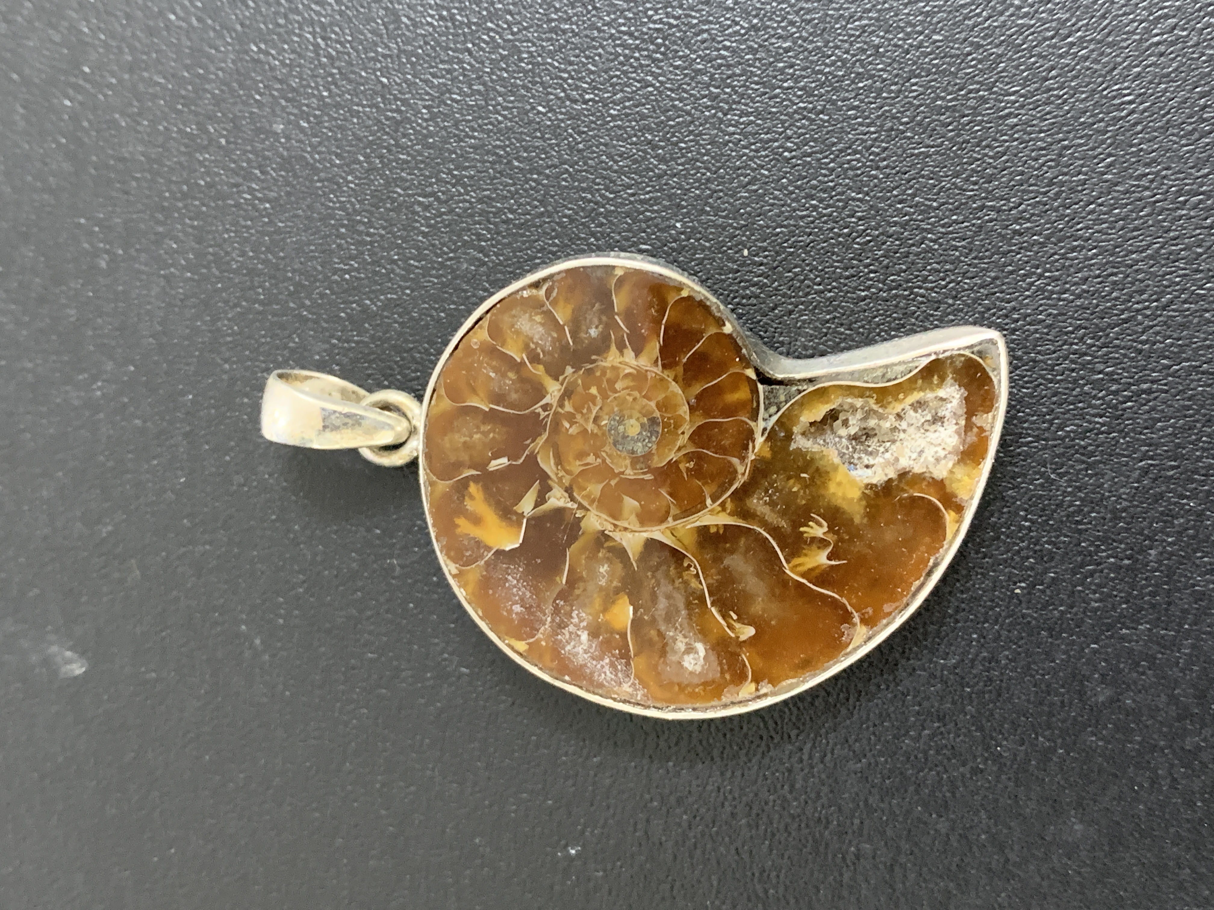Ammonite Silver Pendent