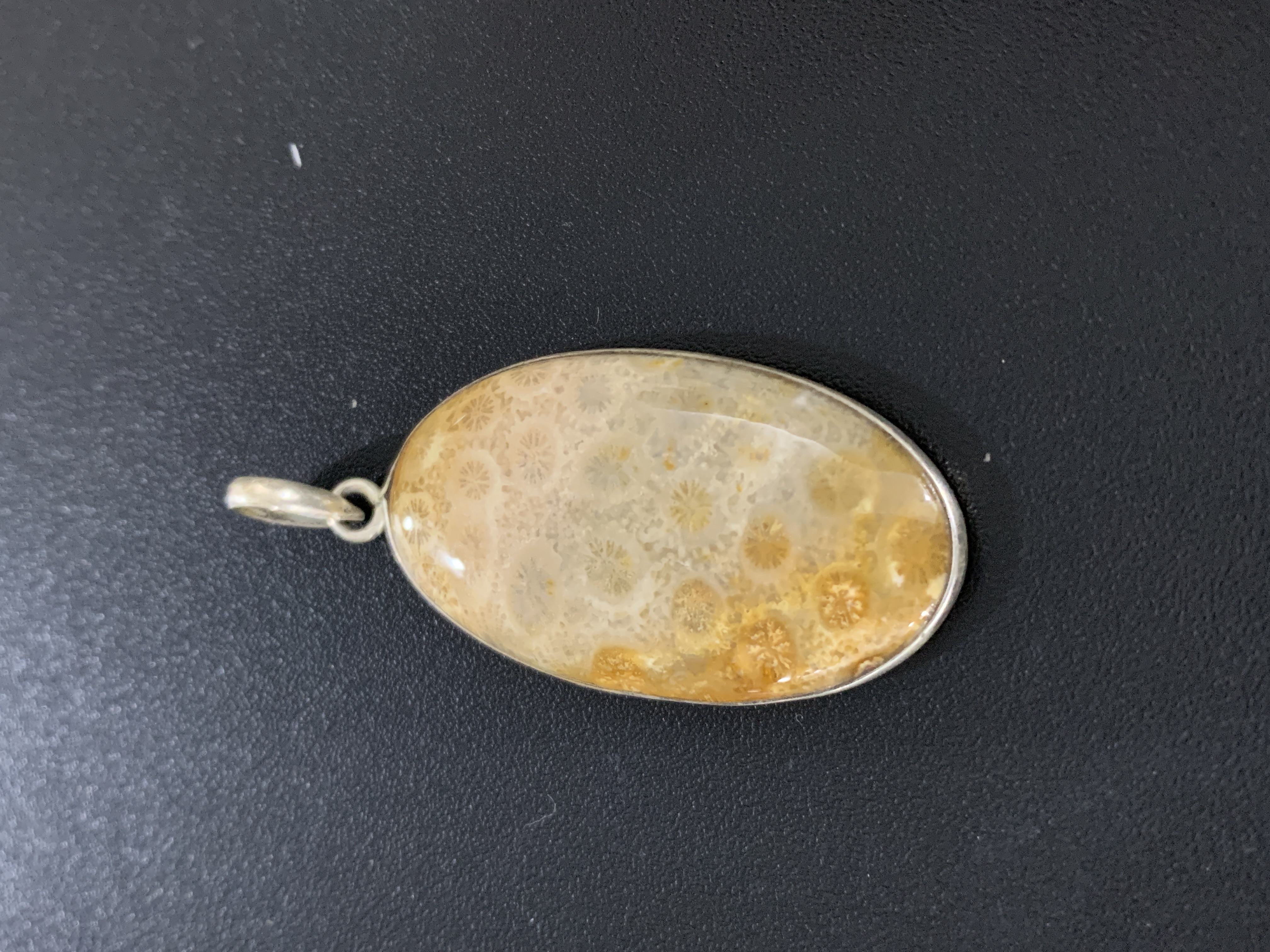 Fossil Coral Silver Pendant