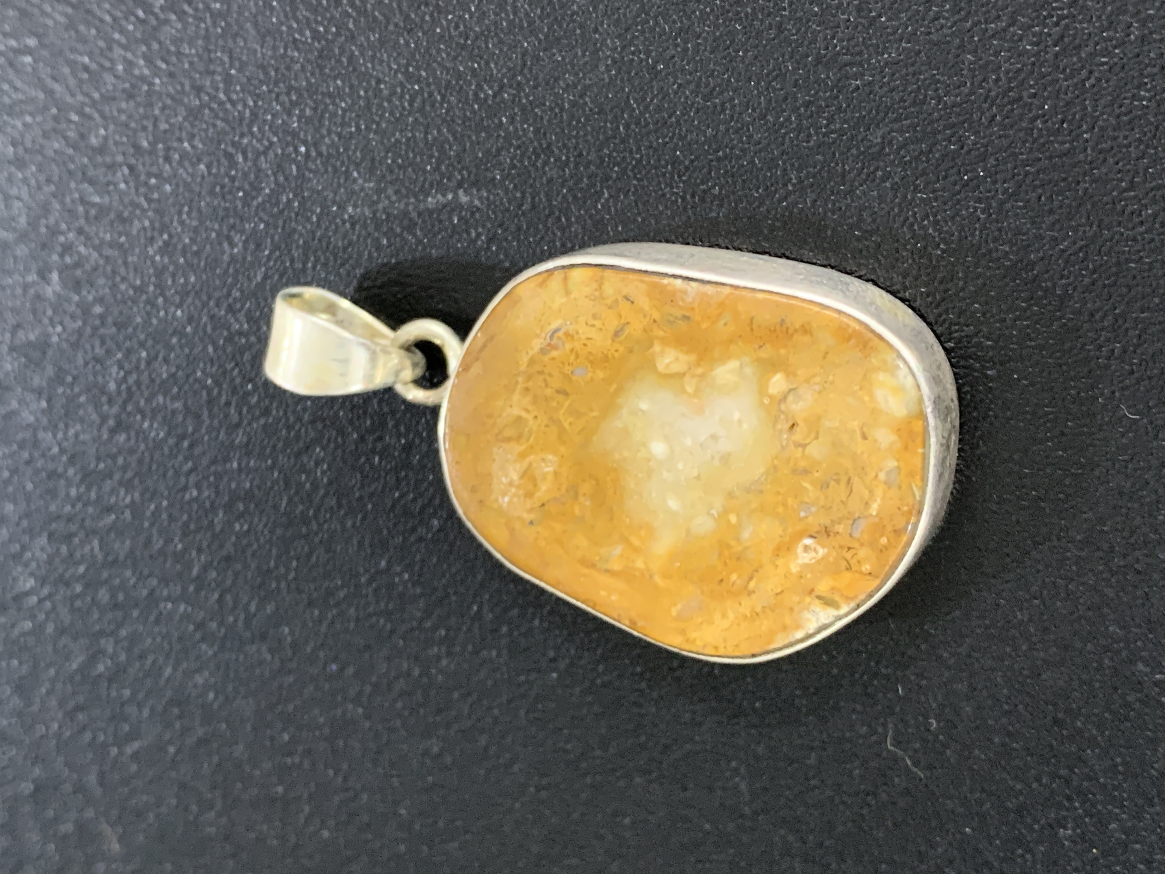 Petrified Wood Silver Pendant