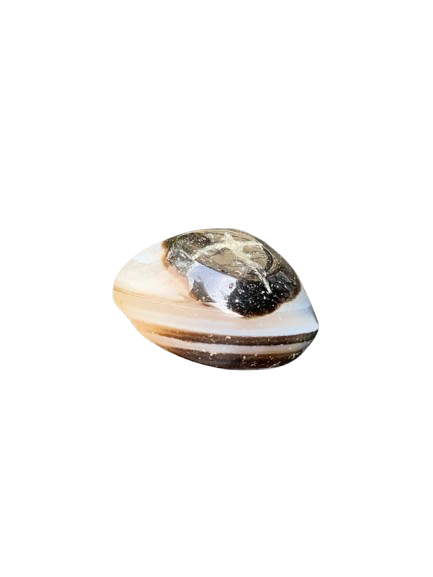 Shiva Eye Agate Caboshons