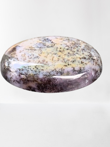 Tree Agate Caboshons